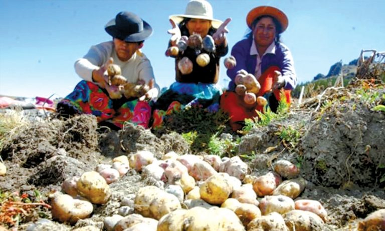 Perú y Bolivia afianzan agenda bilateral para impulsar intercambio comercial de productos agrícolas