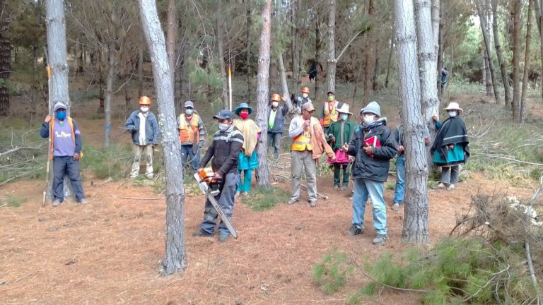 Comuneros de la meseta andina son capacitados en manejo de bosques