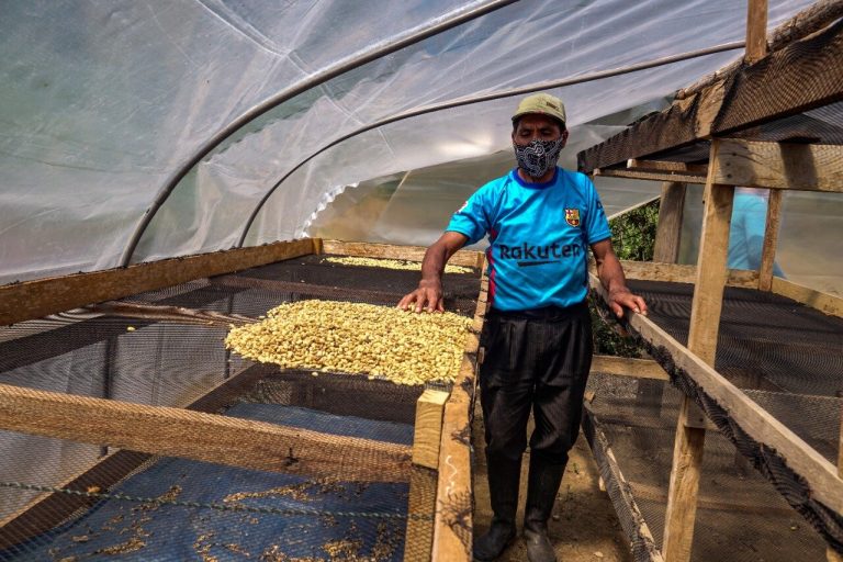 Entregan a productores más de 100 módulos de beneficio de café