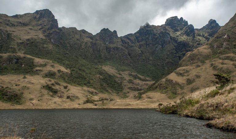 Proyectos de reforestación pudieron evitar déficit hídrico