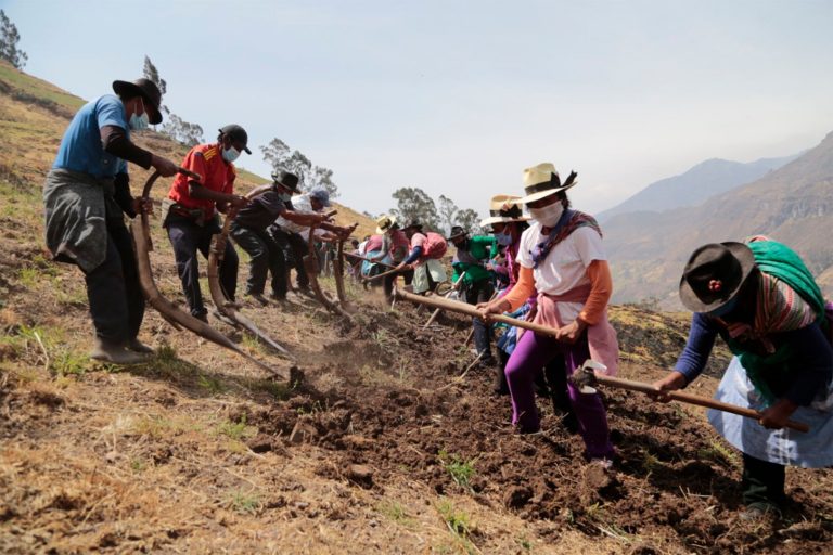 Plantean derogación de ley de promoción agraria
