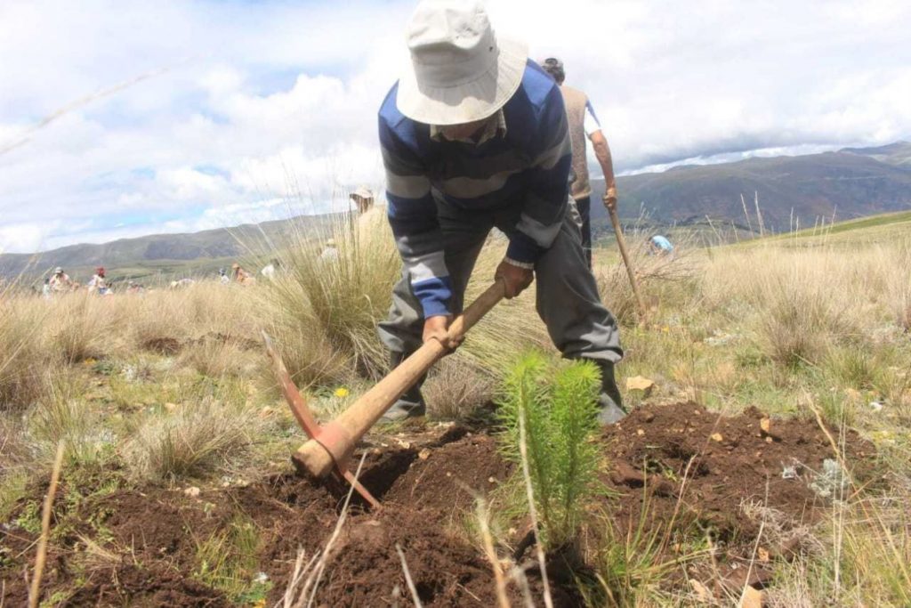 Conoce los 6 retos del sector agrícola para el Bicentenario