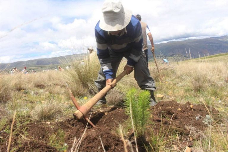 Conoce los 6 retos del sector agrícola para el Bicentenario Conoce los 6 retos del sector agrícola para el Bicentenario