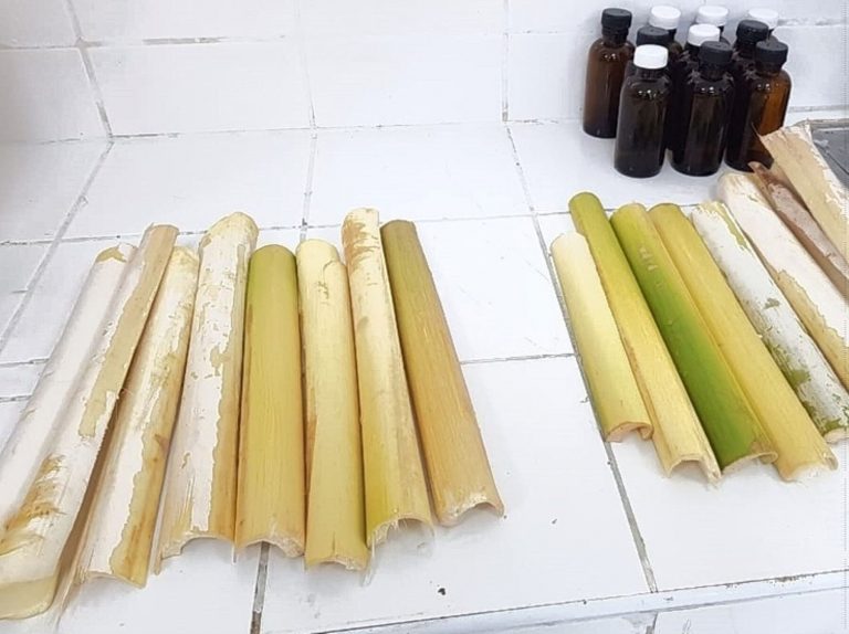 Investigadores elaboran alimentos a partir de residuos de la industria palmitera