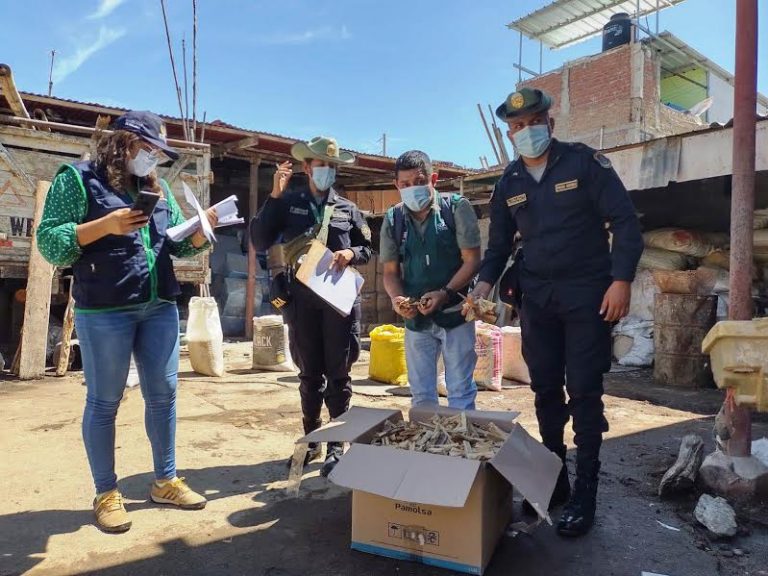 Decomisan más de tres mil kilos de palo santo valorizado en S/ 32 mil