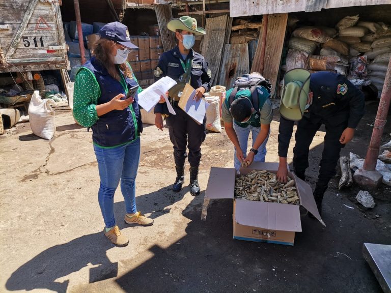 Fiscalía de medio ambiente incauta más de 2 toneladas de palo santo Fiscalía de medio ambiente incauta más de 2 toneladas de palo santo