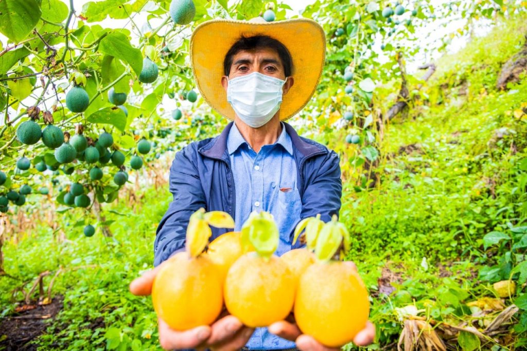 Día Nacional de la Granadilla