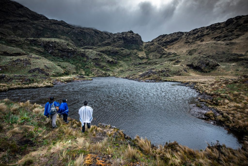 Mediante el Decreto Supremo 005–2021 del Ministerio del Ambiente, se creó en Cajamarca un área de conservación regional.
