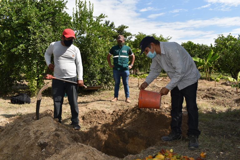5 mil productores son capacitados en la erradicación de las moscas de la fruta en Piura 5 mil productores son capacitados en la erradicación de las moscas de la fruta en Piura