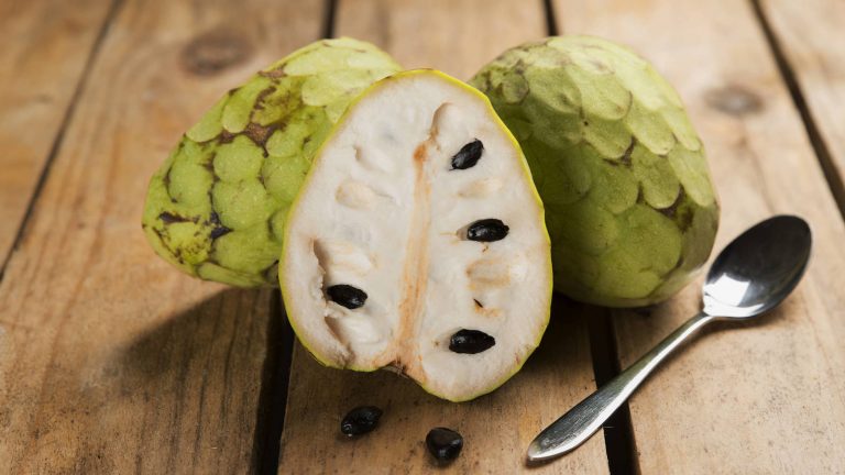 Conoce las bondades nutritivas y medicinales de la chirimoya Conoce las bondades nutritivas y medicinales de la chirimoya