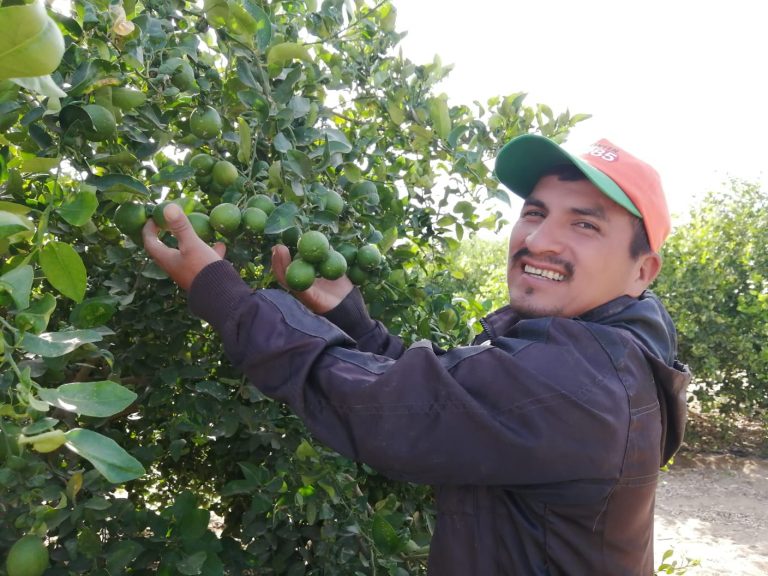Mincetur: Aspiramos potenciar a 1,000 nuevos pequeños exportadores este año