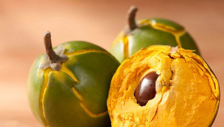 Descubre por qué la lúcuma es considerada oro de los incas Descubre por qué la lúcuma es considerada oro de los incas