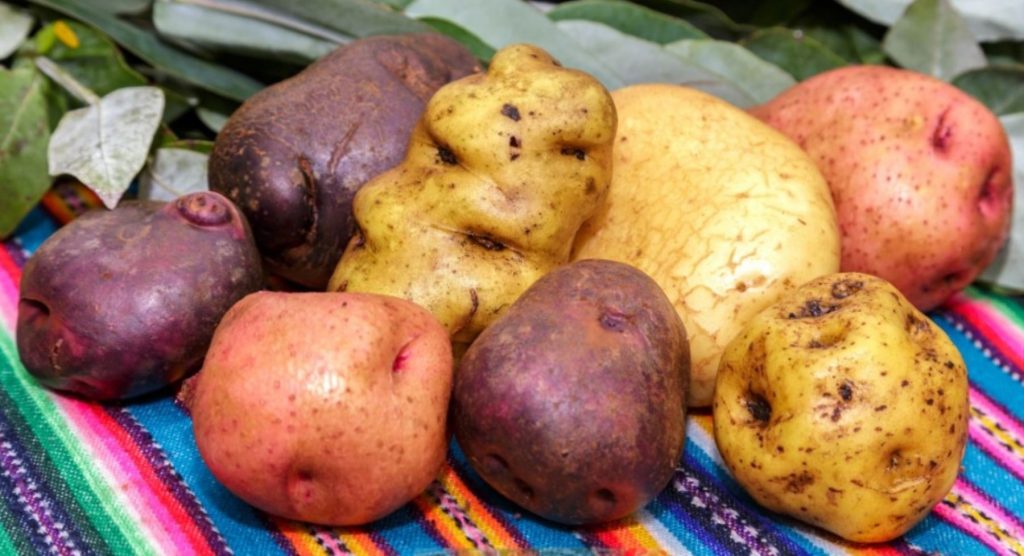 Poder Ejecutivo promulga la Ley de Seguridad Alimentaria y Nutricional