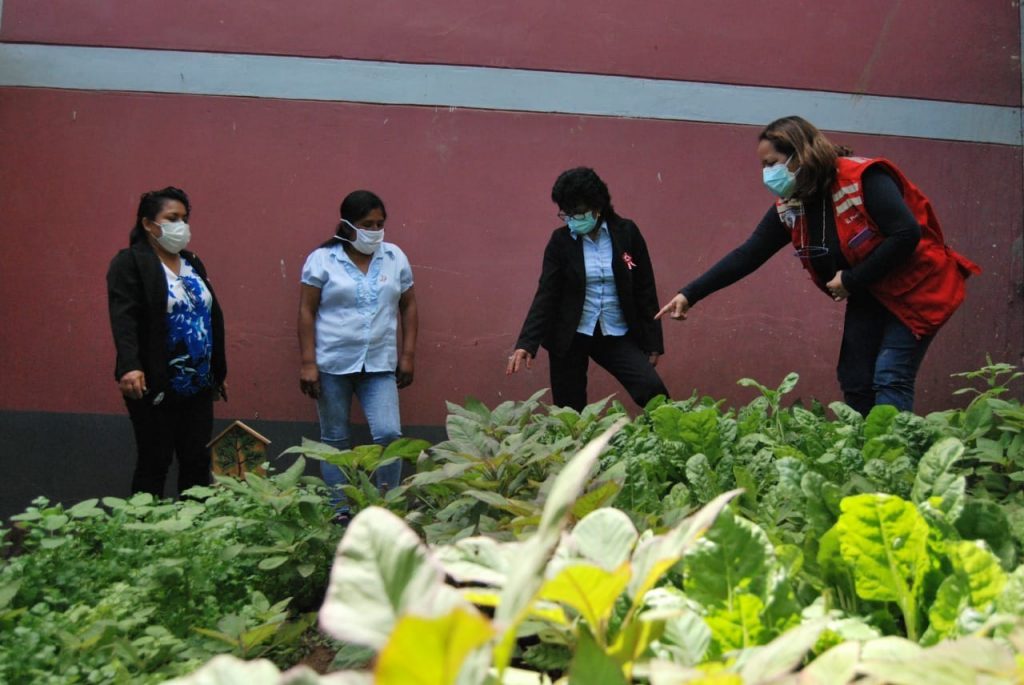 Estudiantes complementan alimentación de Qali Warma con huertos en Huancabamba