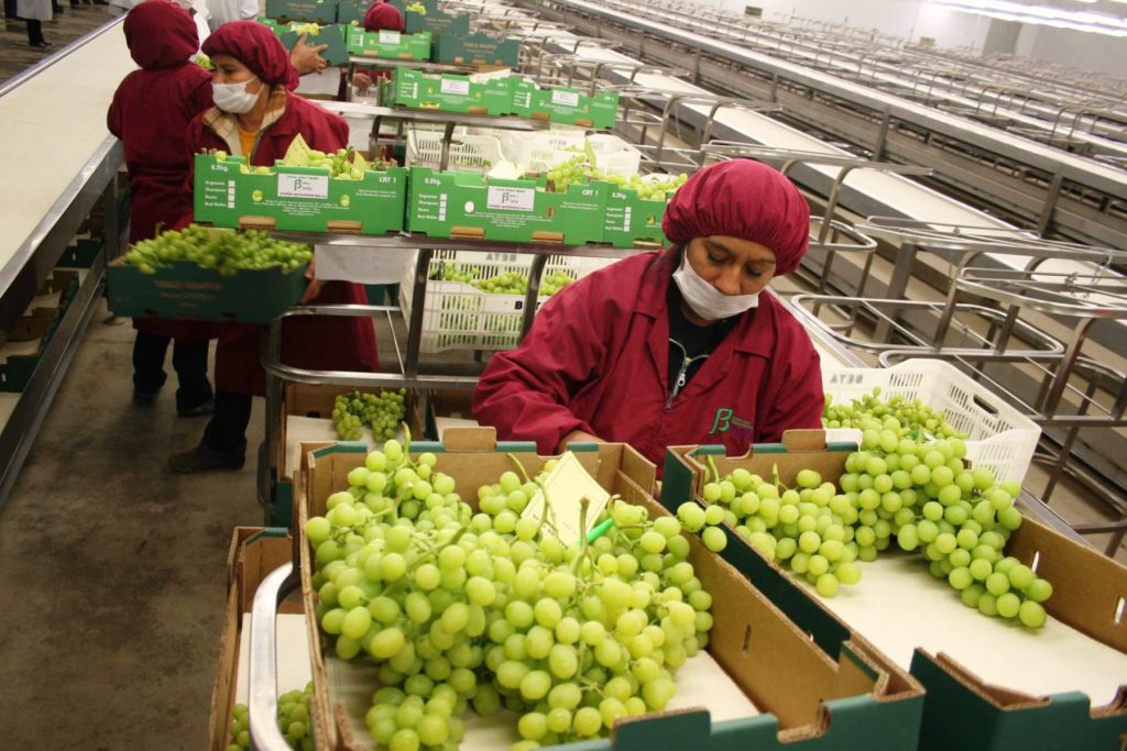 agroindustria