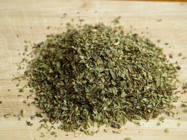 Conoce cómo cultivar orégano dentro de casa