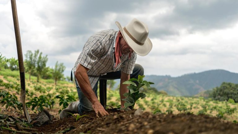 AGRICULTURA