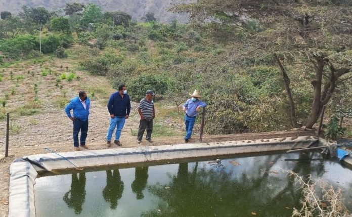 Articulan esfuerzos para impulsar siembra y cosecha de agua en Piura