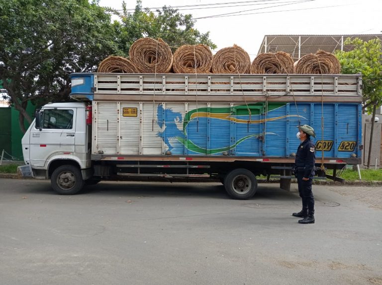 Intervienen a sujeto que transportaba 400 esteras de carrizo con guía de transporte forestal adulterada