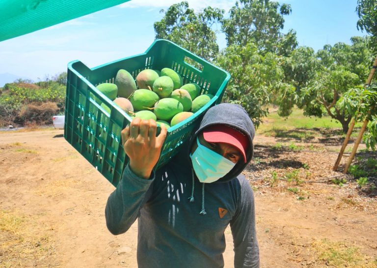 Midagri propone inyectar S/ 1,800 millones en créditos al sector agrario