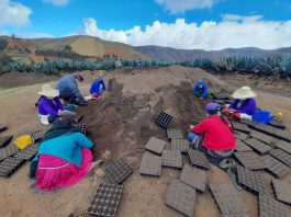 Instalan seis microreservorios para cosecha y siembra de agua en Ayabaca Instalan seis microreservorios para cosecha y siembra de agua en Ayabaca