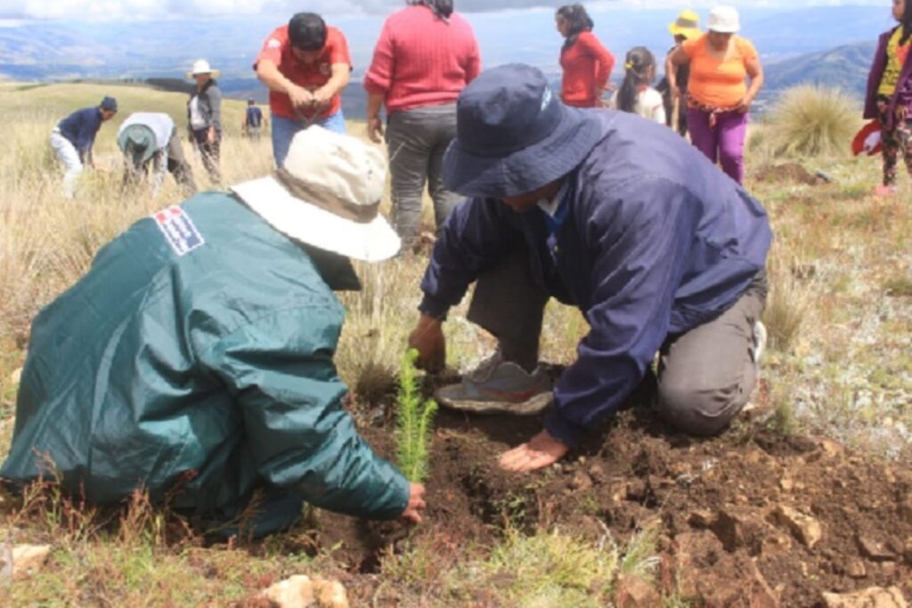 Gobierno aprueba subsidio de S/ 350 para pequeños agricultores