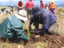 Día del Campesino: Conoce cómo les afecta la crisis económica Gobierno aprueba subsidio de S/ 350 para pequeños agricultores
