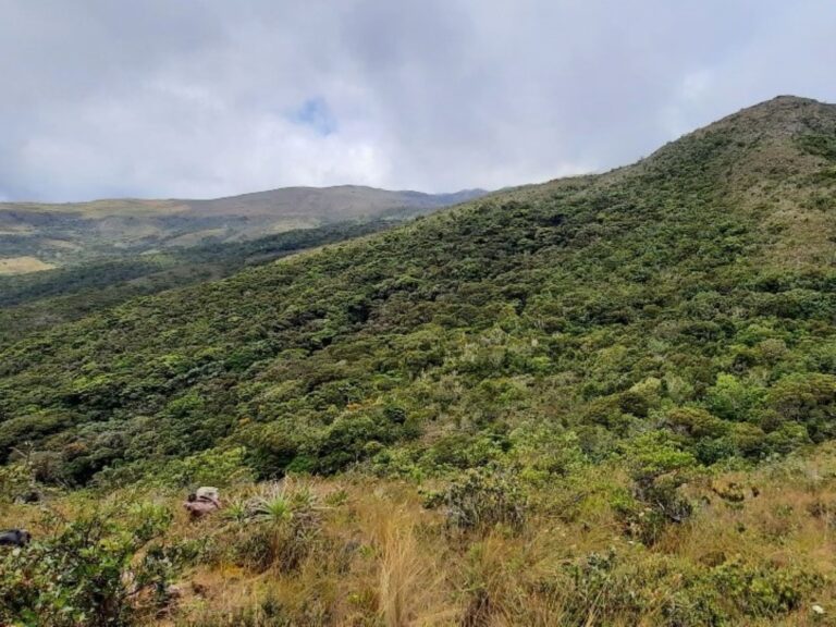 Ayabaca crea nueva área de conservación ambiental para proteger sus páramos