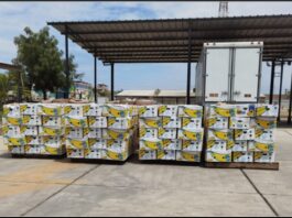 Decomisan 548 cajas de pitahaya y banano orgánico de contrabando en Sullana Decomisan 548 cajas de pitahaya y banano orgánico de contrabando en Sullana