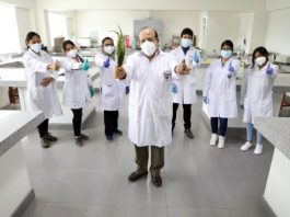 Investigadores usan inca muña y tara para elaborar papas fritas saludables Investigadores usan inca muña y tara para elaborar papas fritas saludables
