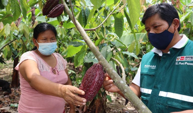 Perú cuenta con más de 460.000 hectáreas dedicadas a la producción orgánica