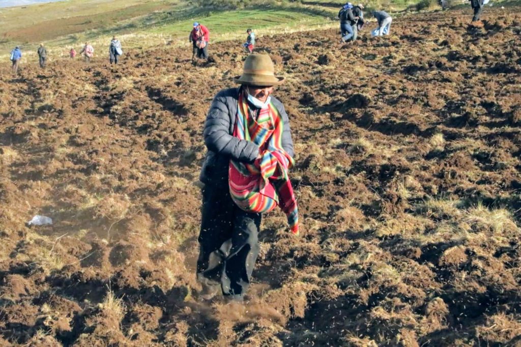 Agrobanco otorgó créditos por S/ 679.3 millones a más de 59,000 agricultores