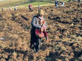 Midagri realiza empadronamiento de productores a agrarios a nivel nacional Agrobanco otorgó créditos por S/ 679.3 millones a más de 59,000 agricultores