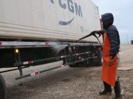 Senasa contribuye a desarrollo de exportaciones de plátano y banano Senasa contribuye a desarrollo de exportaciones de plátano y banano