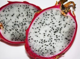 Pitahaya: la fruta exótica con potencial exportador
