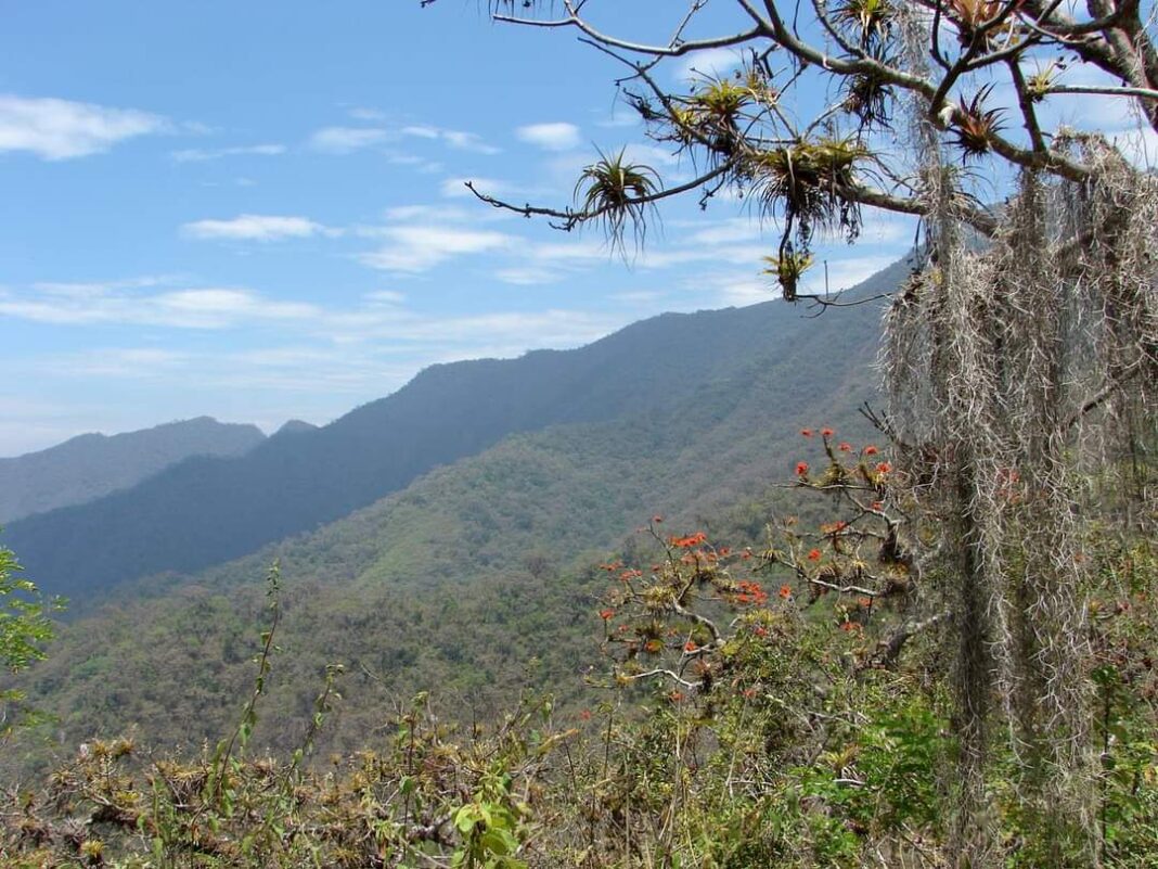Actualizaran plan maestro de Área de Conservación Regional Bosques de Salitral- Huarmaca