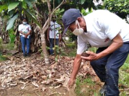 327 empadronadores registrarán a beneficiarios de subvención económica por compra de fertilizantes 327 empadronadores registrarán a beneficiarios de subvención económica por compra de fertilizantes