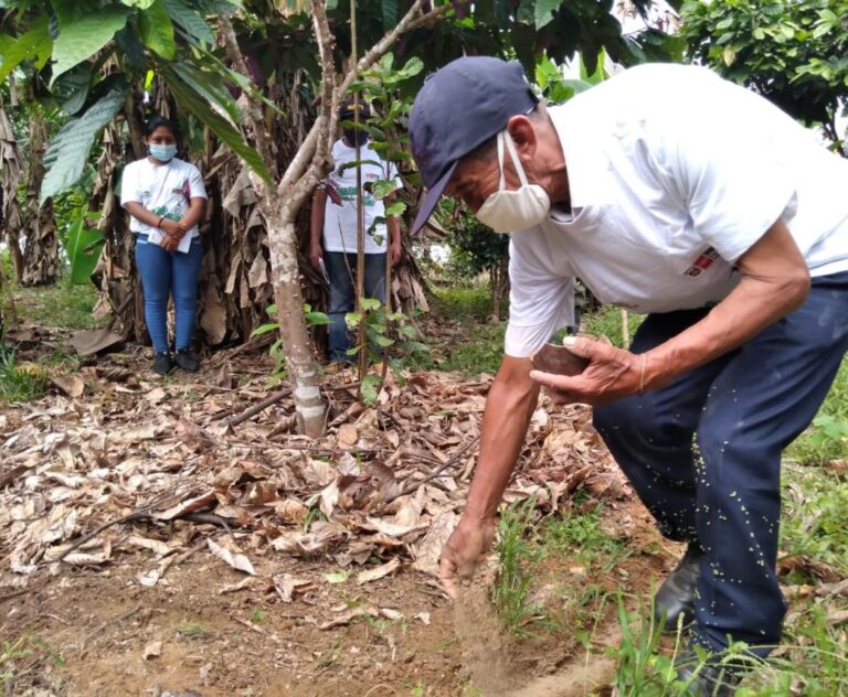 327 empadronadores registrarán a beneficiarios de subvención económica por compra de fertilizantes