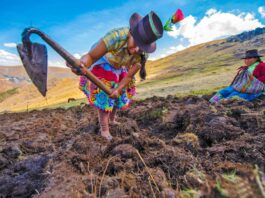 Sector agropecuario crece en 3.7% durante el primer trimestre del año