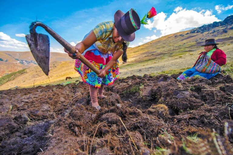 Sector agropecuario crece en 3.7% durante el primer trimestre del año