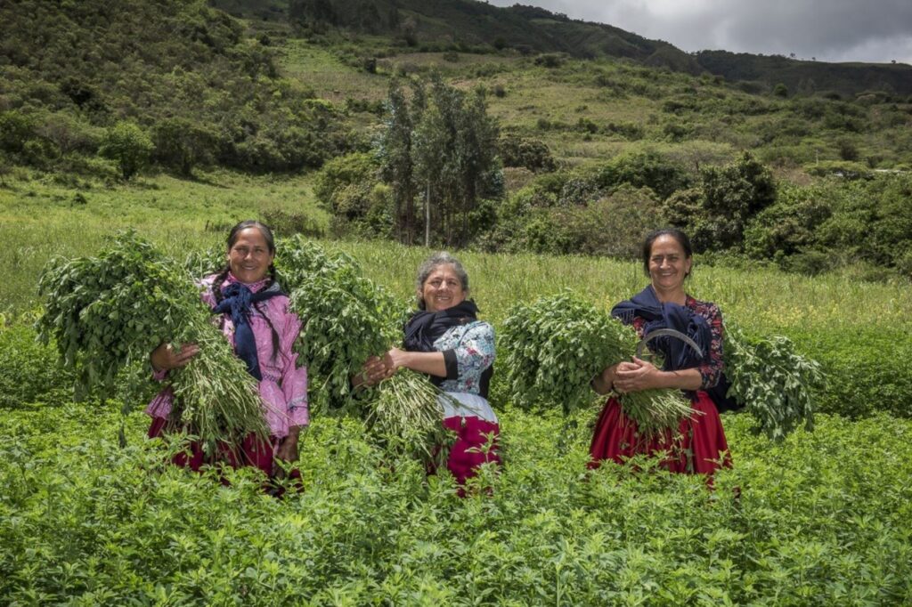 Lanzan convocatoria para cofinanciar planes de negocio hasta en un 80 %