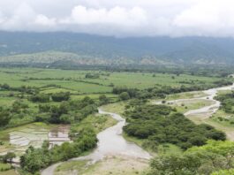 Mejoran infraestructura de riego en 4 distritos del Alto Piura