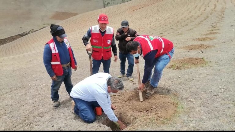 Utilizan tecnología de lluvia sólida para producción forestal en la Meseta Andina