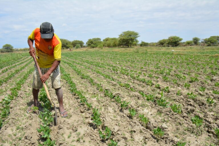 Bono Wanuchay de S/ 350: consulta aquí si eres beneficiario