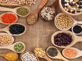 ¿Por qué son claves las legumbres para una buena nutrición y la salud?