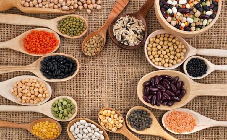 ¿Por qué son claves las legumbres para una buena nutrición y la salud?