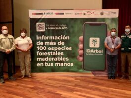 Aplicativo móvil reconocerá especies forestales maderables aplicativo