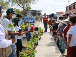 Realizan actividad de reforestación en el A.H. San Isidro