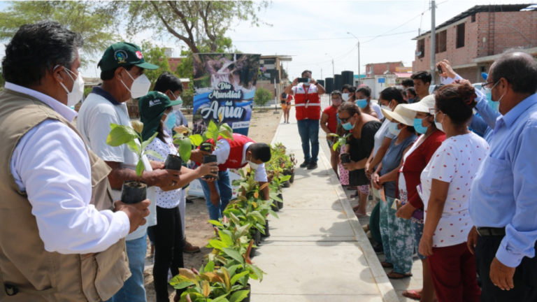 Realizan actividad de reforestación en el A.H. San Isidro