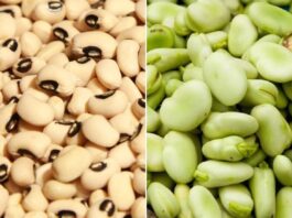 Esta es la guía que estandariza calidad en producción de legumbres